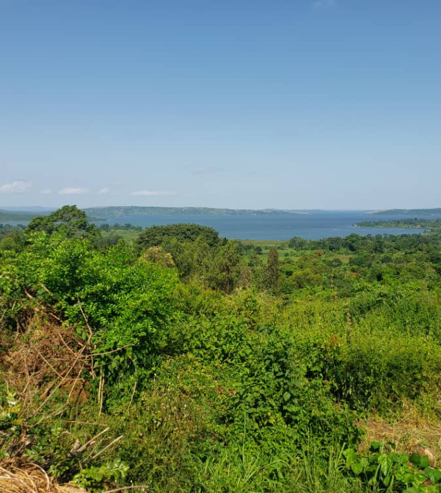 WhatsApp Image 2022-06-04 at 8.52.02 PM.jpeg